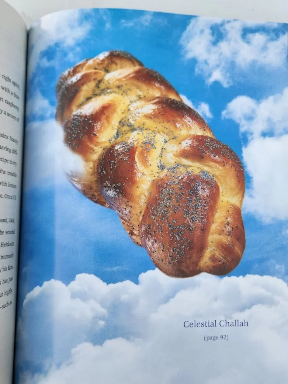 Pie in the Sky Successful Baking at High Altitudes Recipe Cookbook Hardcover Boo